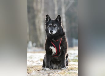 Liebevolle Anita sucht ihre Familie