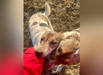 Aufgeschlossene Freya sucht liebe Familie