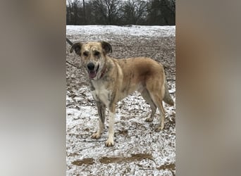 Balou wünscht sich aktive souveräne Menschen