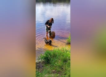 Storm taut langsam auf