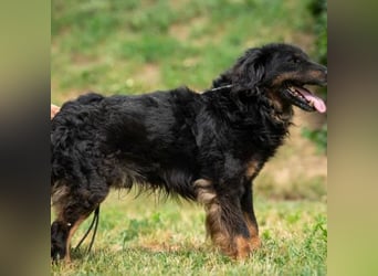 Zeyko