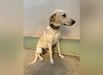 Lilly – sensibel, aktiv, besonders. Wer gibt ihr diesmal die richtige Chance?