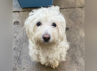 Daisy **Reserviert***