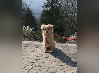 Lebensfrohe EMMY sucht gemütlichen Kuschelplatz