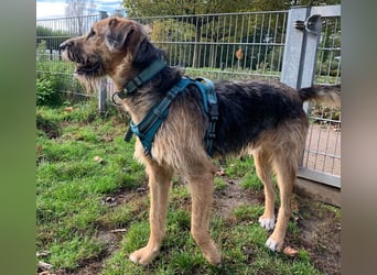 Winston wartet auf seine zweite Chance