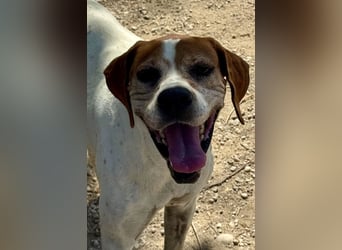 Esther, hofft auf ihr großes Glück