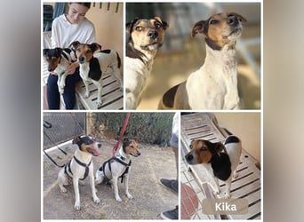 KIKA