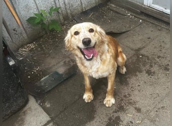 Update Nala: reserviert