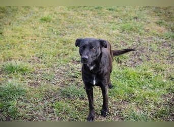 Fritzi: sucht dich!