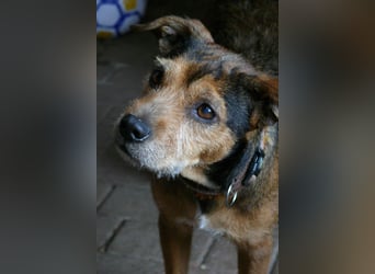 RANA - liebt das Zusammensein mit uns Menschen!