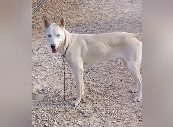 Perla: Sportskanone und Kuschelmaus