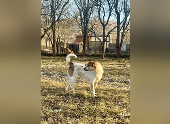 Aufgeschlossene Freya sucht liebe Familie