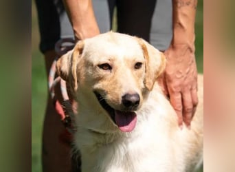 Quita