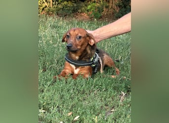 Helga, geboren 01.03.2025 sucht ihren Neuanfang