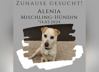 Alenia sucht ihr Traumzuhause !