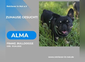 ALMA – auf der Suche nach ihrem Für-immer-Zuhause
