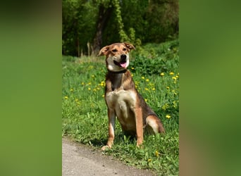 Bara schließt ihre Menschen schnell ins Herz