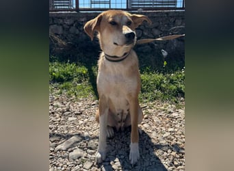 Zara ❤️ will endlich Liebe+Nähe spüren