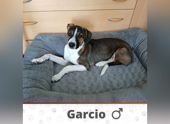 GARCIO ❤️  wartet in 30171 Hannover auf Dich