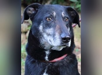 Fonzy- Unikat sucht ebensolches - und Liebe!