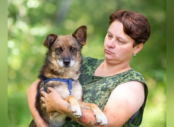 Kleiner Familienhund Patrick sucht ein Zuhause.