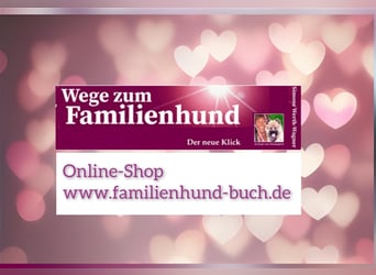 Welpe, Hund, Mischling, Rasse - Erziehung zum Familienhund - einfach gemacht
