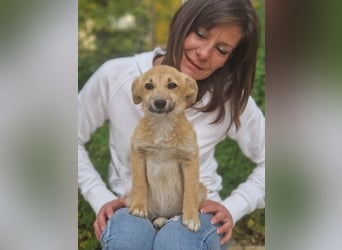 Zoe – so klein, wie knuffig