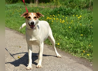Bella Y153 ist voller Lebensfreude