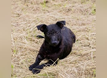 Sally – kleine Frohnatur sucht großes Herz ❤️