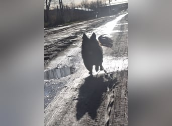 Stella - rüstige Seniorin die noch flott unterwegs ist