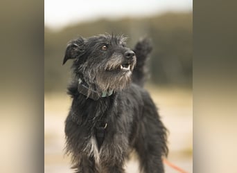 Paty, sucht ihre Herzensmenschen