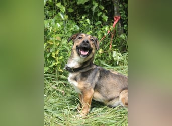 Zauberhafte kleine Henriette wünscht sich ein Zuhause