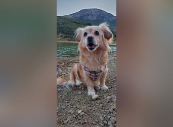 Luna, hofft auf ihre 2. Chance