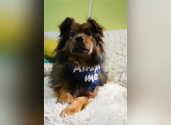 Buddy-SR, möchte dein Freund werden