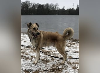 Balou wünscht sich aktive souveräne Menschen