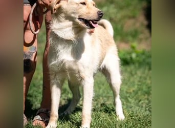 Quita