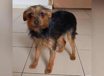 Molly S261 ist zuckersüß und sanft