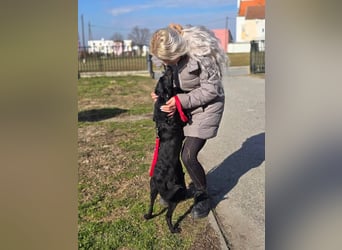 Tilda sucht ein Zuhause
