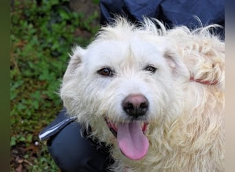 Gatsby - Der große Gatsby sucht seine Daisy