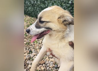 LEILA sucht eine Familie