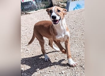 quirliger freundlicher TOFU sucht liebevolles Zuhause