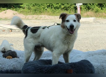 Justin unser kleiner Prinz