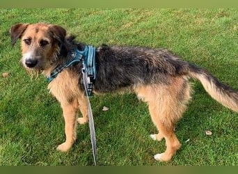Winston wartet auf seine zweite Chance