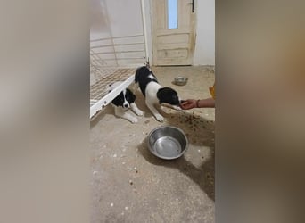 BUB 3 - hofft auf tolle Menschen