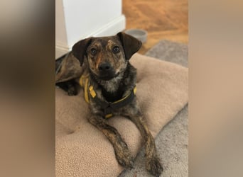 Paco: freut sich über Besuch in Bremen