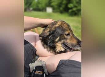 Morti sucht ein neues Zuhause