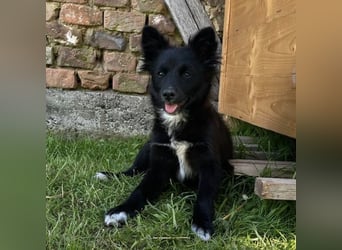 Pia eine kleine zuckersüße Lady