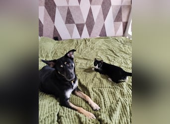 Besondere Michelle sucht liebevolles Zuhause