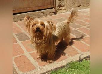 Gaby