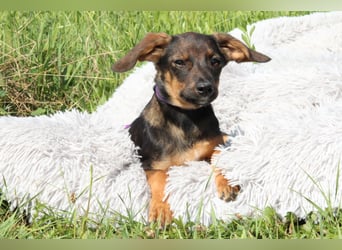 Macy unsere kleine Prinzessin...